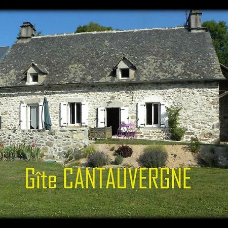 Gite Cantauvergne Vebret Exterior foto
