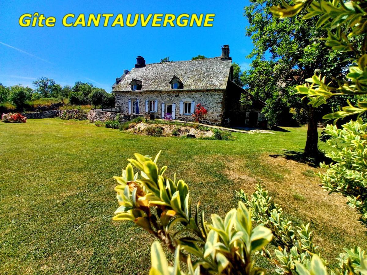 Gite Cantauvergne Vebret Exterior foto