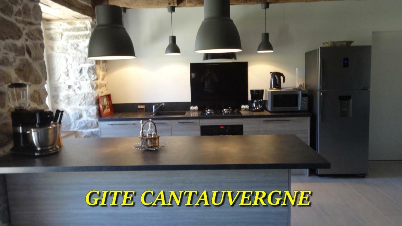 Gite Cantauvergne Vebret Exterior foto