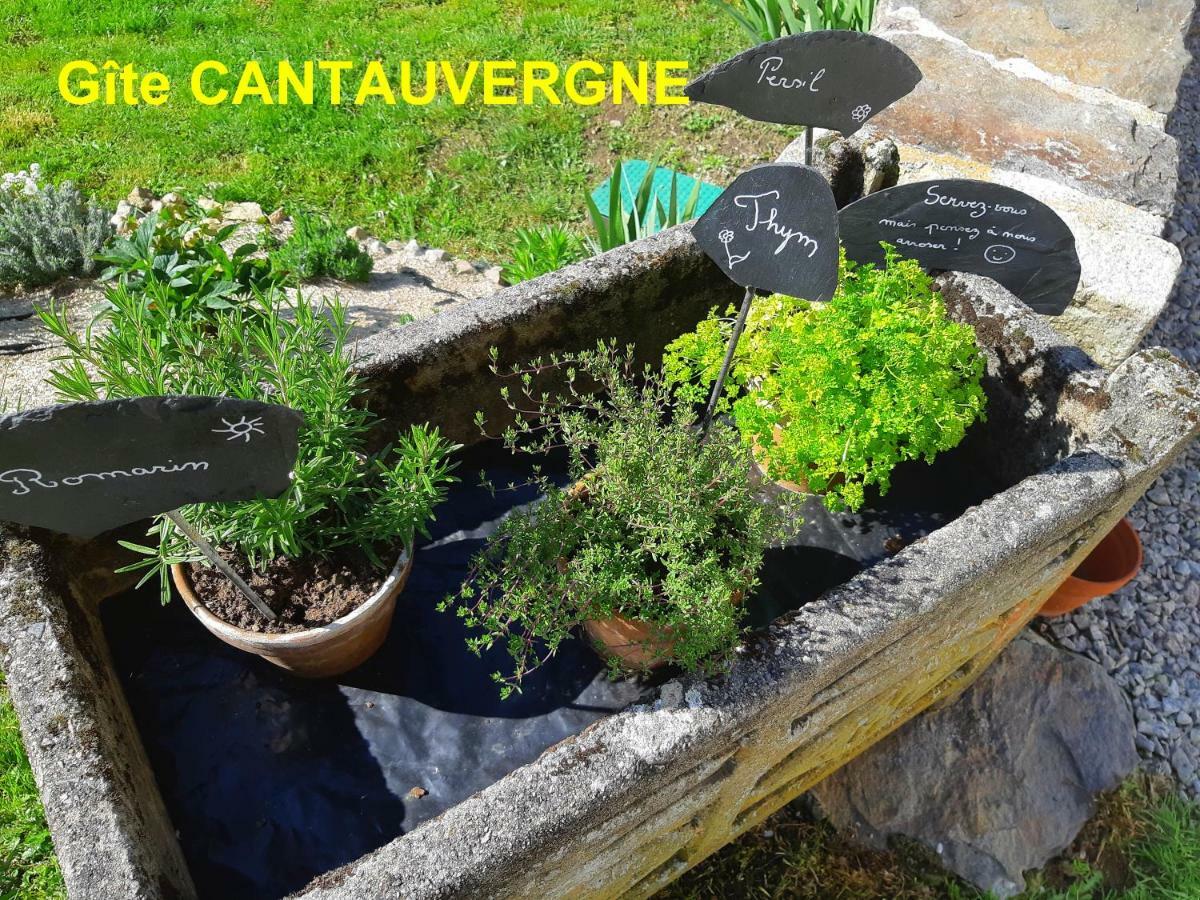 Gite Cantauvergne Vebret Exterior foto